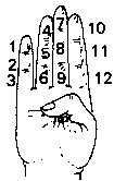 3132-2-1