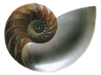 7185-1-3