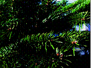 S006-1-2